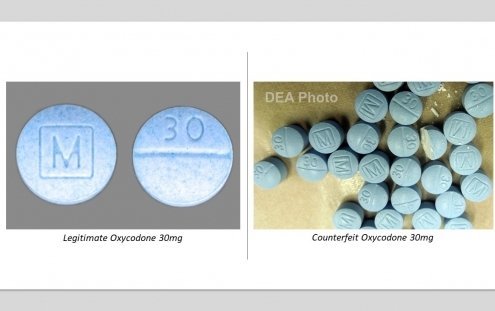 Interquest Canine Newsletter - DEA Morphine
